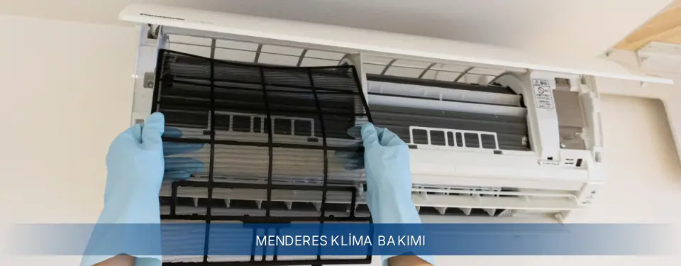 Menderes İlçemi Electrolux Klima Bakımı