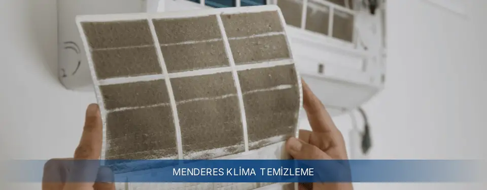 Menderes İlçemi Electrolux Klima Temizleme
